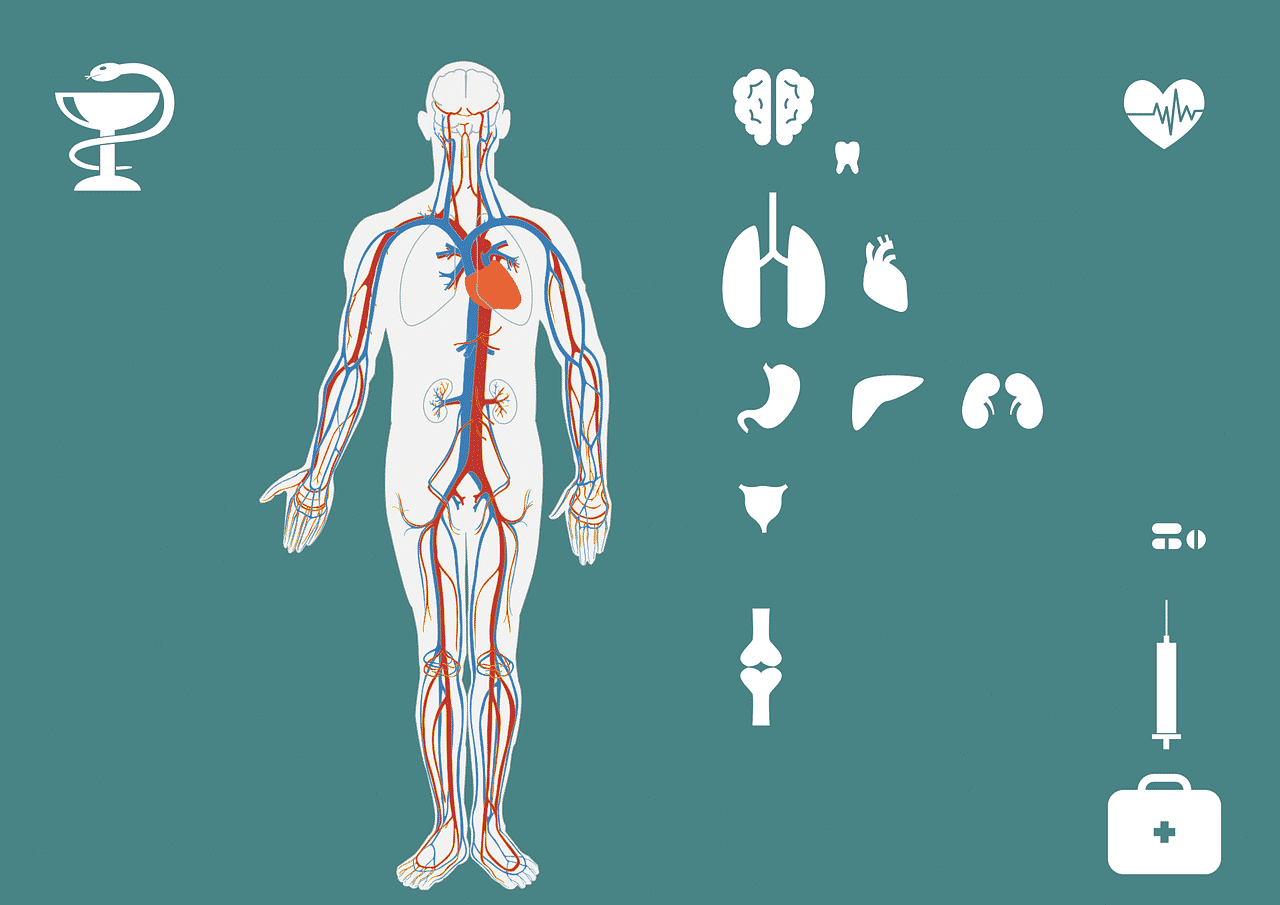 grants for kidney transplant patients