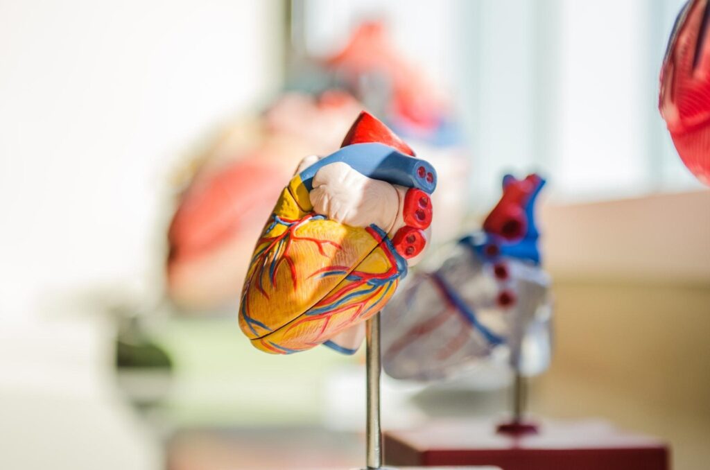 Government Grants for Heart Patients
