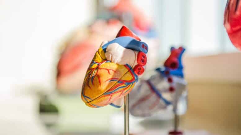 Government Grants for Heart Patients