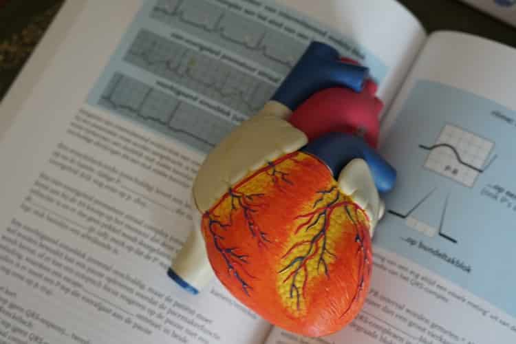 Government Grants for Medical School - What are Medical School Grants?