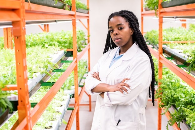 Medical School Grants for Minorities