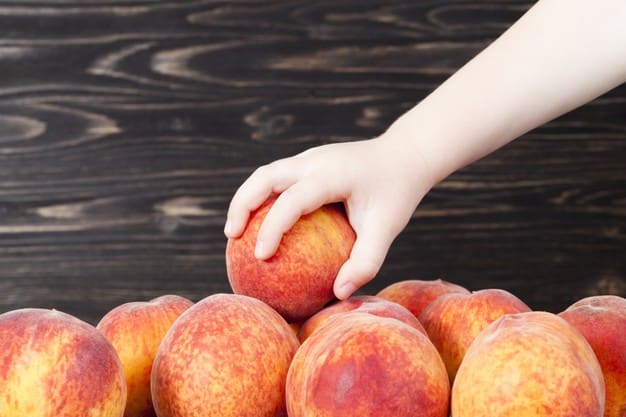 Whole Foods Grants Whole Foods Grants - Community Giving program