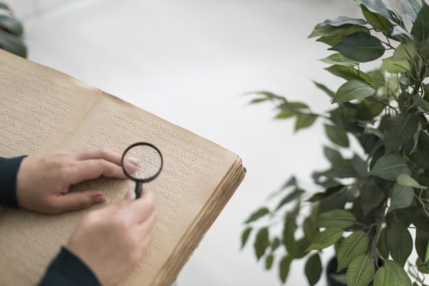 Grants for Assistive Technology for the Blind - The Potential Benefits