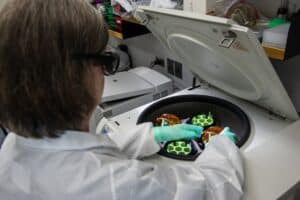 Phase 1 Clinical Trial Phase 1 Clinical Trial - To Accumulate Short-Term S& Pharmacological Data