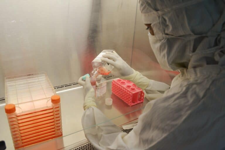 Phase 1 Clinical Trial