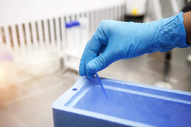 IVF Grants Florida - Special Medical Techniques
