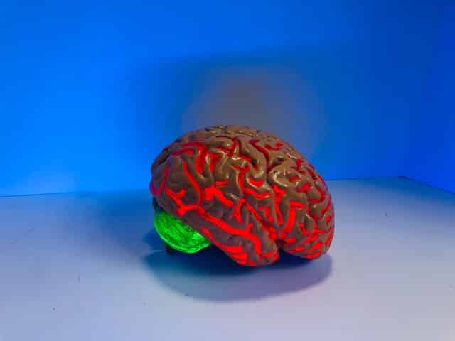 Funding under Alzheimer’s Association International Research Grant Program