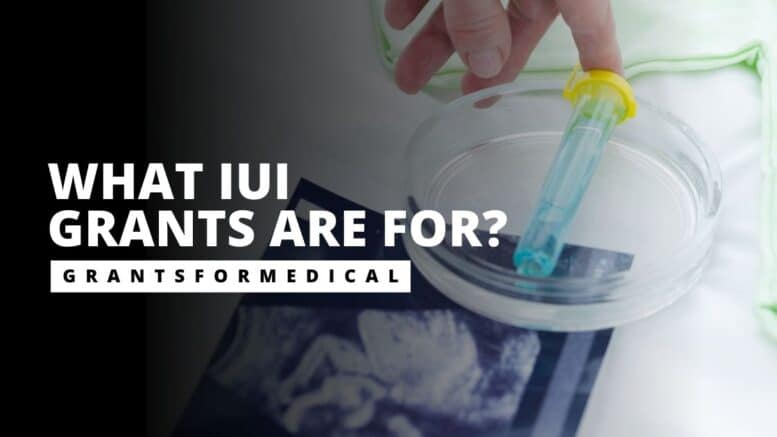 IUI grants