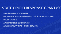 State Opioid Response Grants