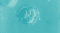 IVF Grants in NJ