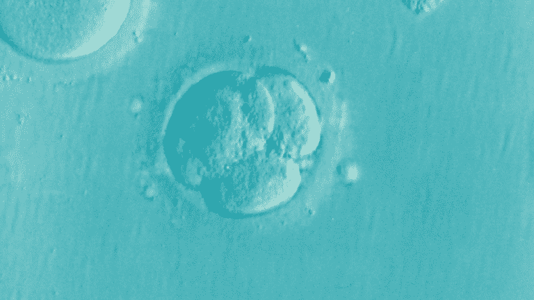 IVF Grants in NJ
