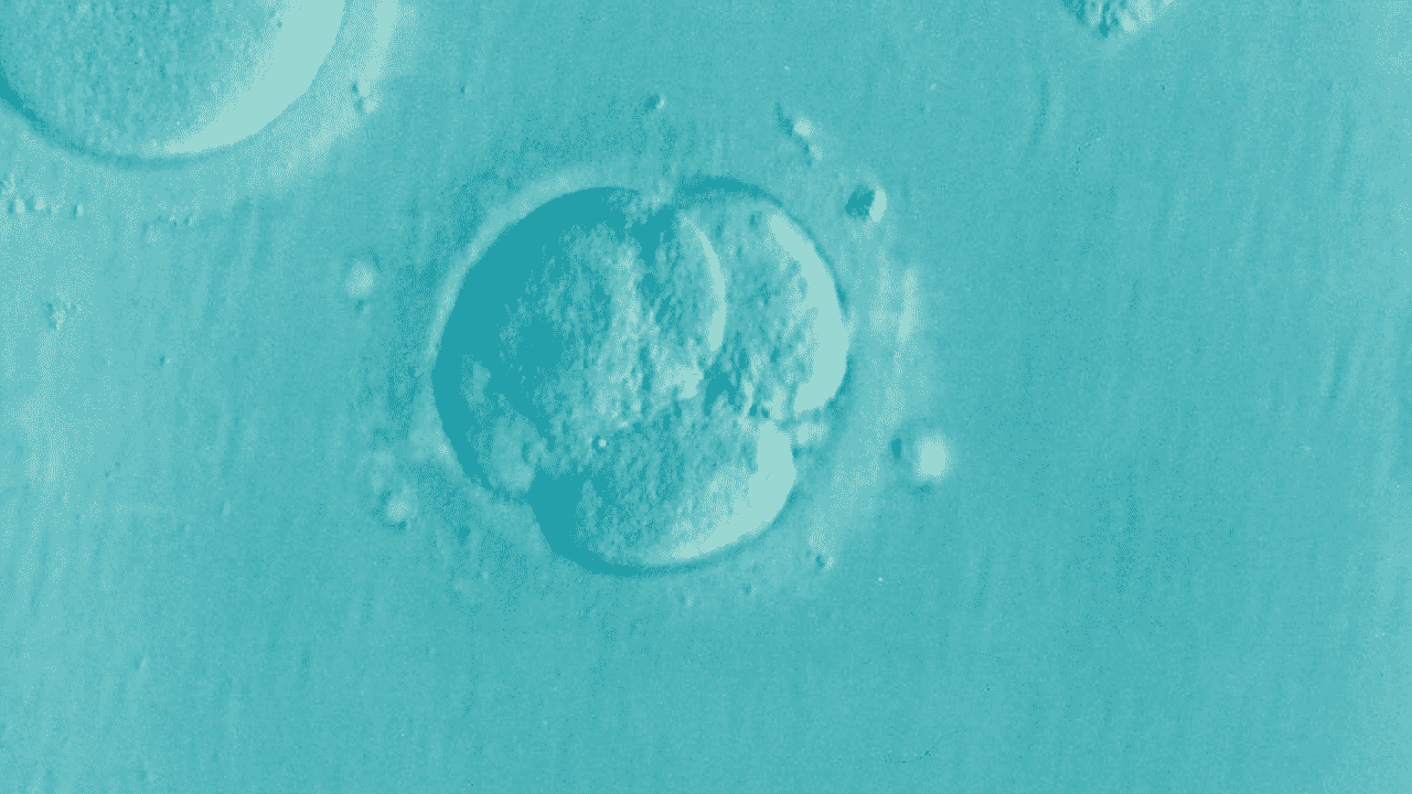 4 IVF Grants in New Jersey Grants for Medical