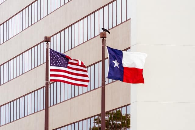 ivf grants in texas