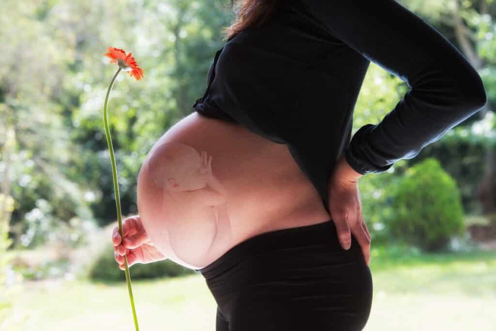IVF Grants New York - Total Cost of IVF Treatment