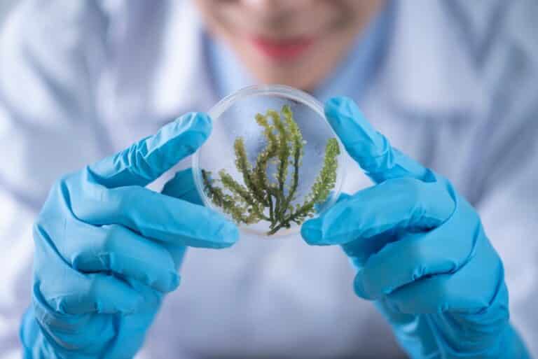 Medical Innovation Grants