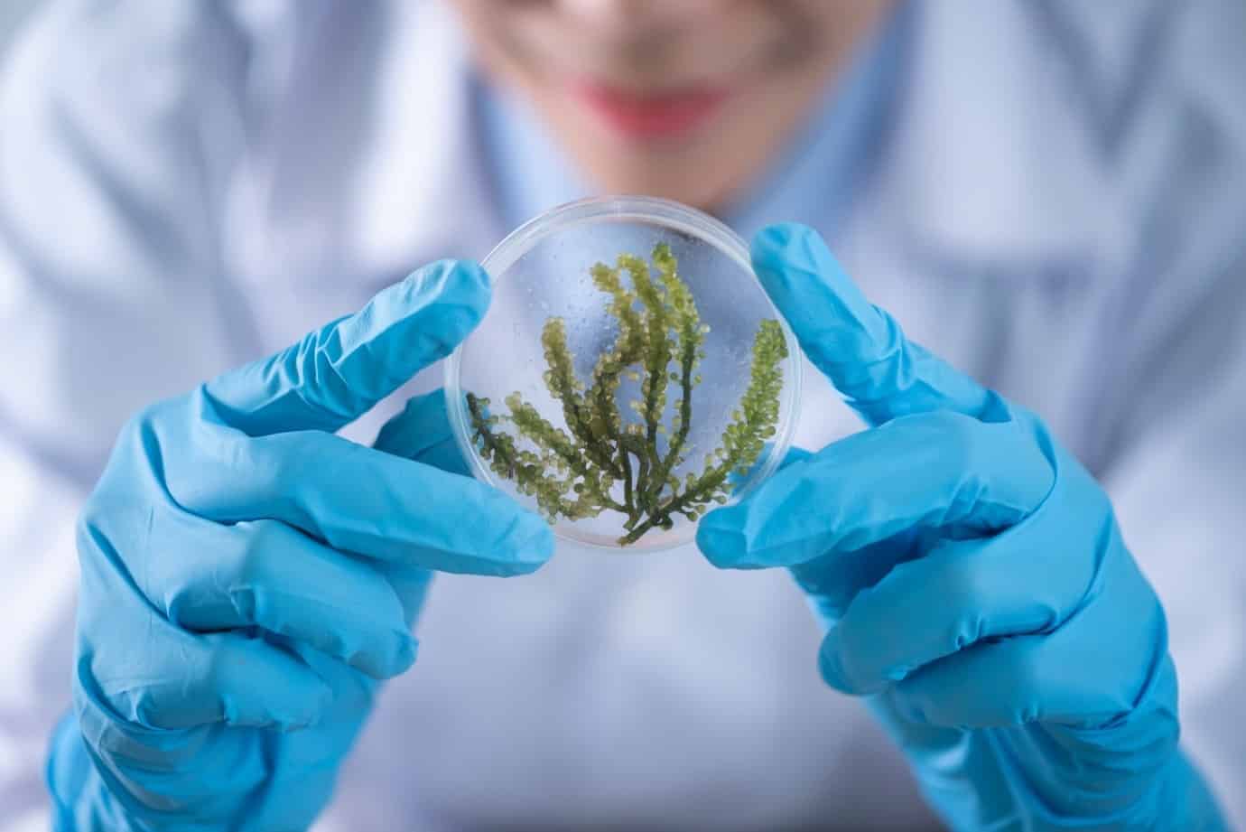 Medical Innovation Grants