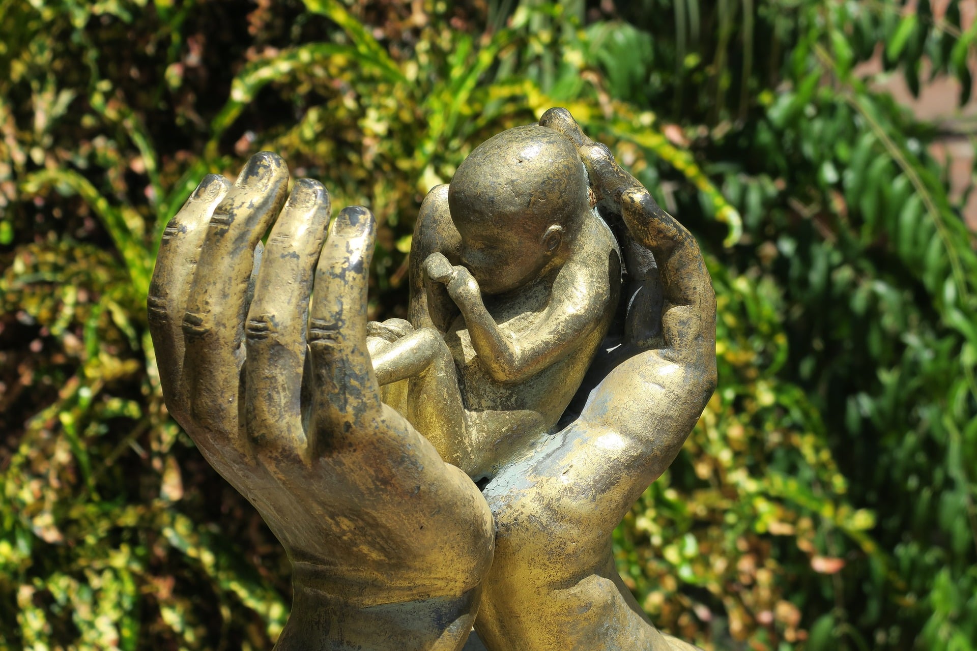 Grants for Abortion