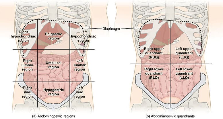 What is apronectomy