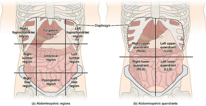 What is apronectomy