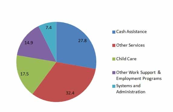 Hardship Grants for Single Mothers - Temporary Assistance for Needy Families (TANF)