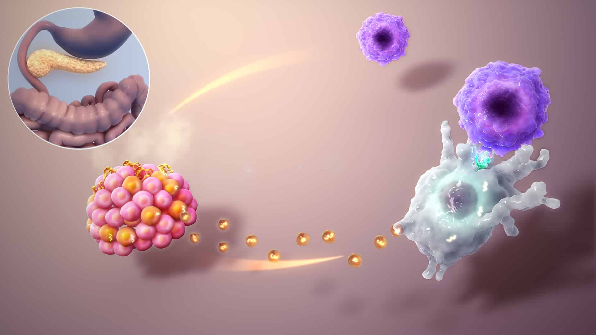 Type 1 Diabetes Mellitus Clinical Trials Grants for Medical