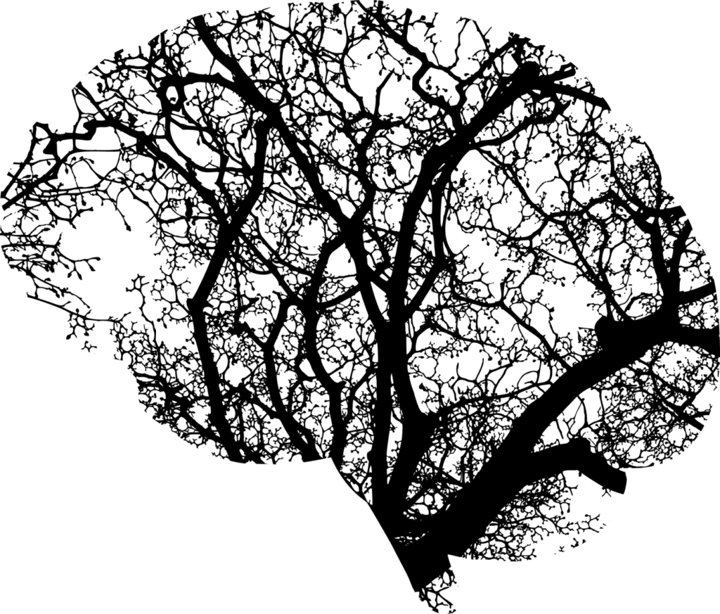 Grants for Mental Health Research