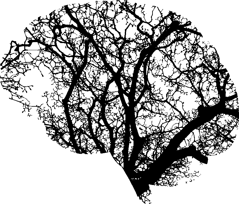 Grants for Mental Health Research
