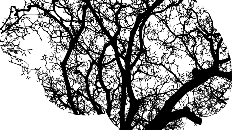 Grants for Mental Health Research