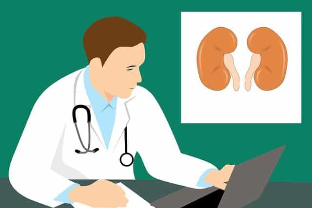 Marshall University Researcher Awarded $1.36 million NIH Grant for Kidney-related Research