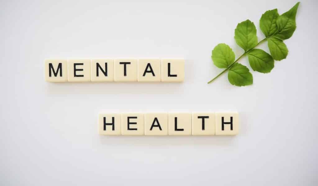 Where to get grants for mental health research
