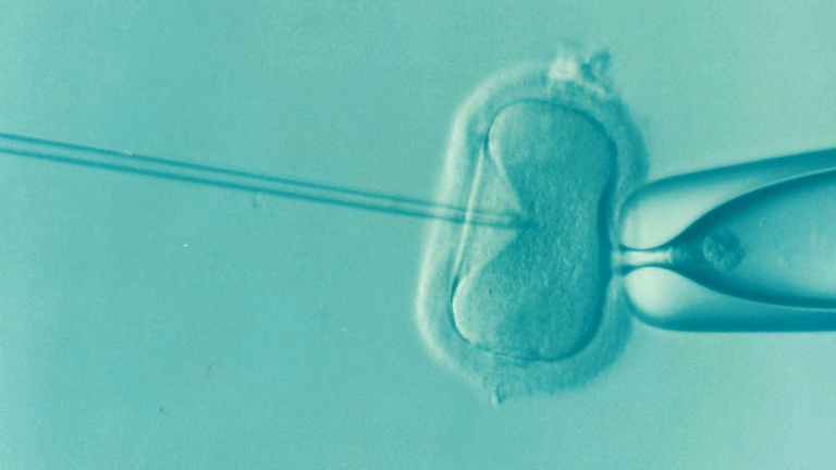 donor egg ivf cost