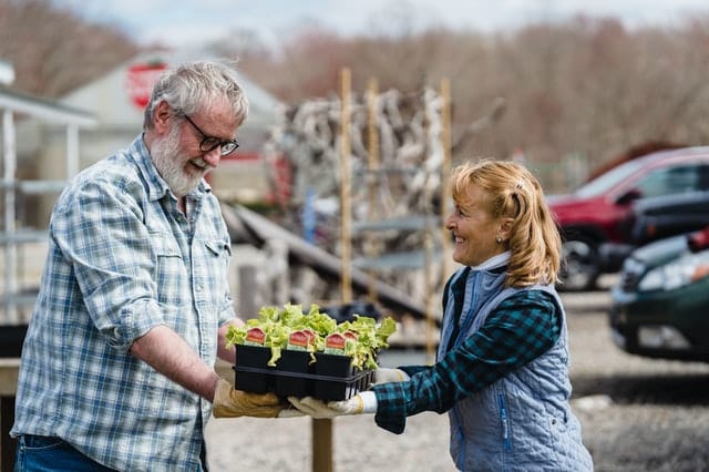 Sources for Small Business Grants for Veterans