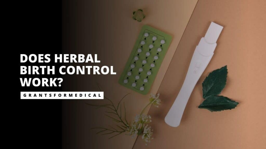 Herbal Birth Control Is it a Viable Option? Grants for Medical