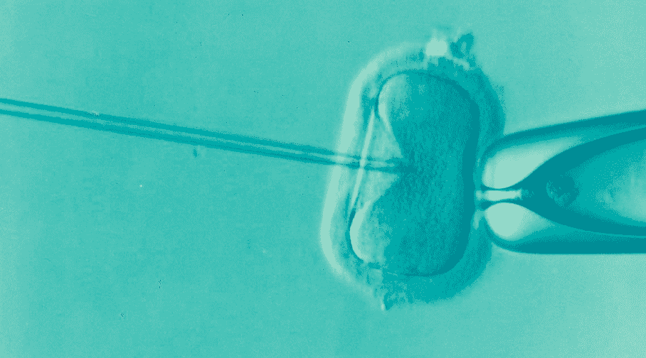 IVF Treatment and Insurance Coverage