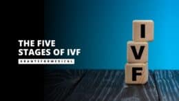 The Five Stages of IVF