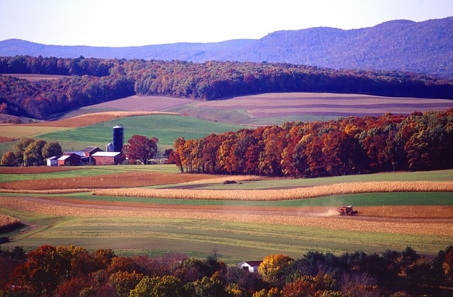 Small Business Grants in Pennsylvania