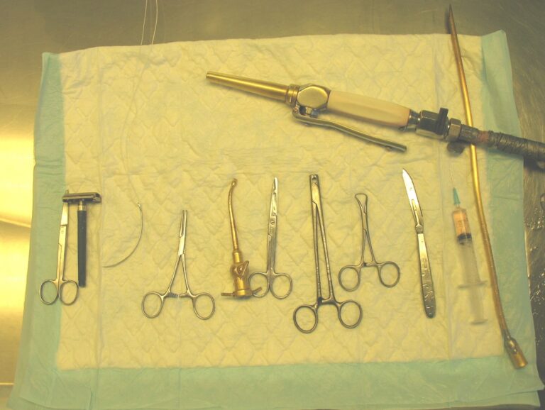 Signs that a Mortician Career is Good for You