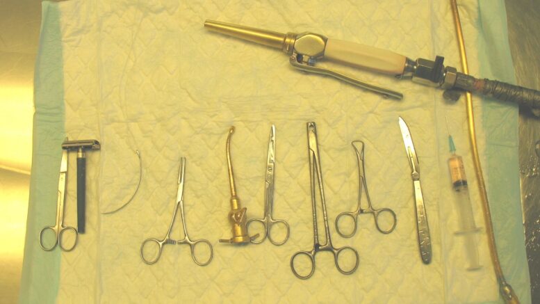 What Does A Mortician Do What To Expect 