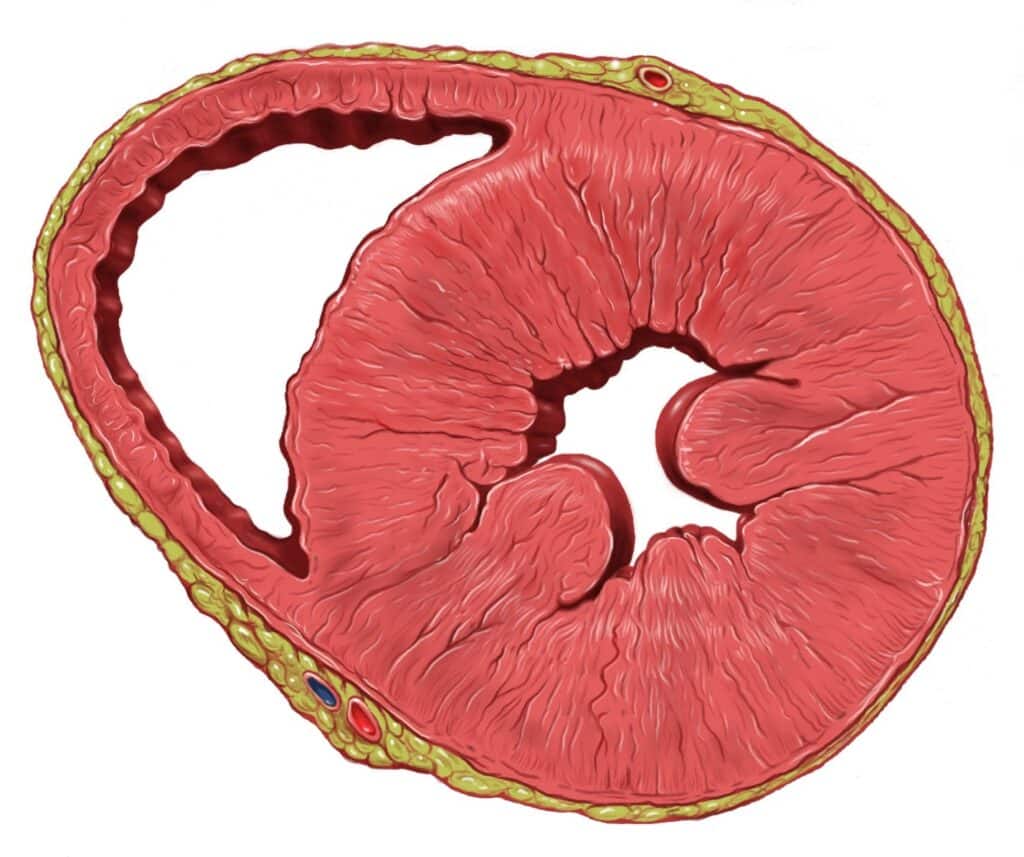 What you need to Know About Being a Pathologist
