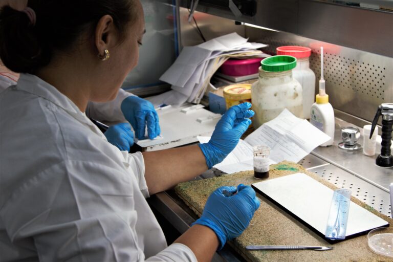 What you need to Know About Being a Pathologist