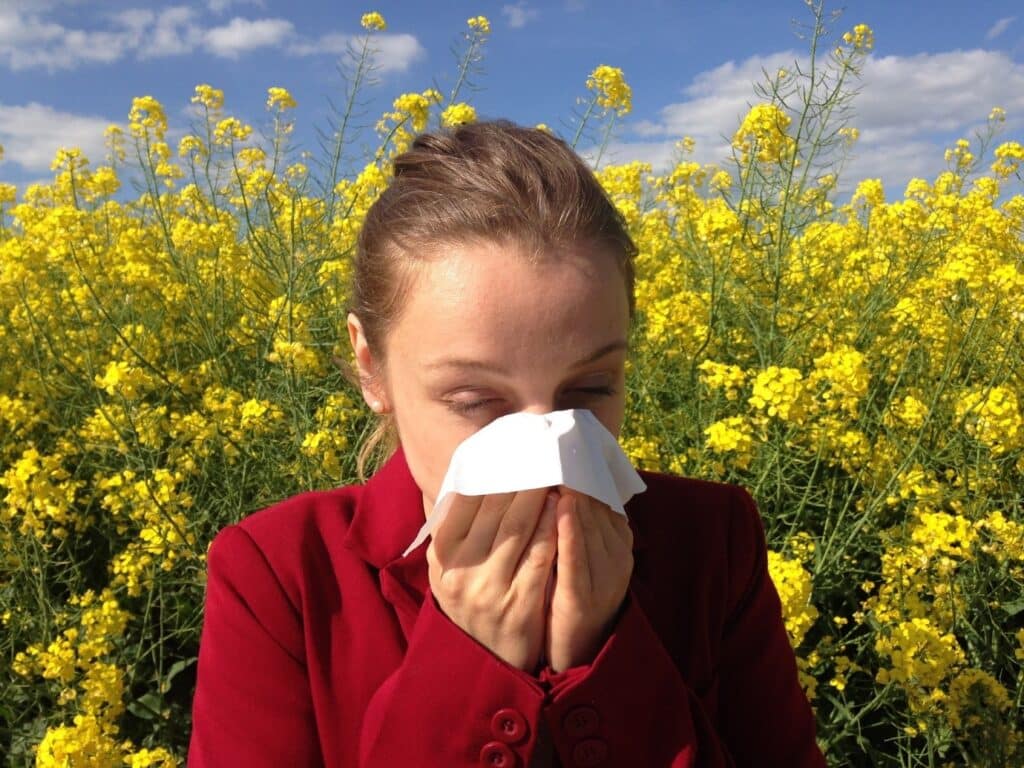 Best Allergy Testing Training for Physicians in 2022