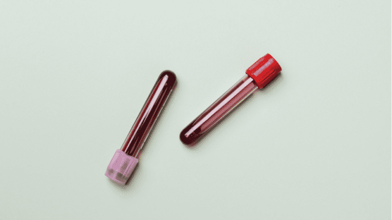 What is Hematology