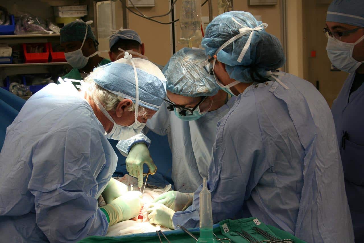 How to Get Transplant Nurse Certification? How to Get Transplant Nurse Certification?