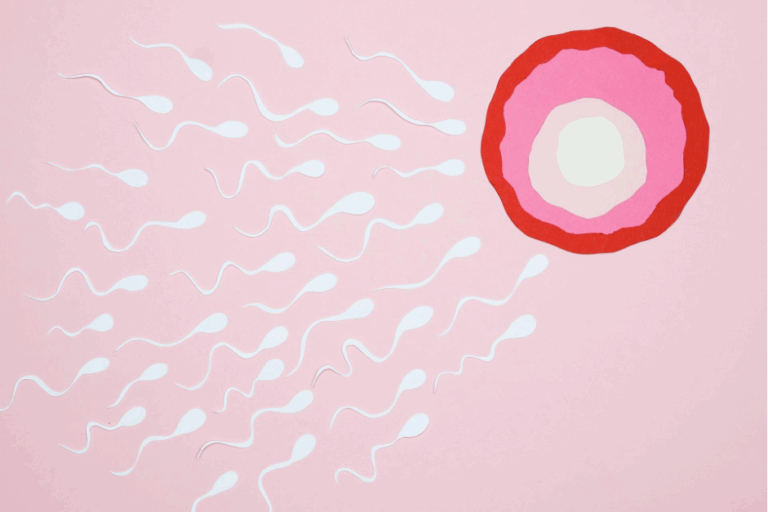 Anorexia and Infertility
