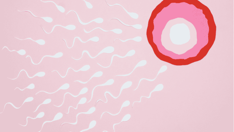 Anorexia and Infertility