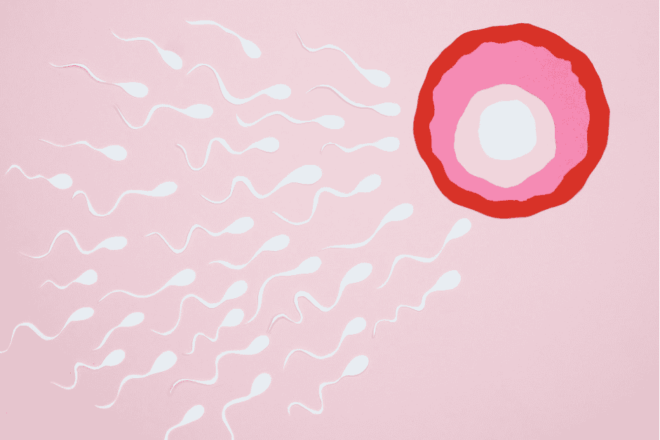 Anorexia and Infertility