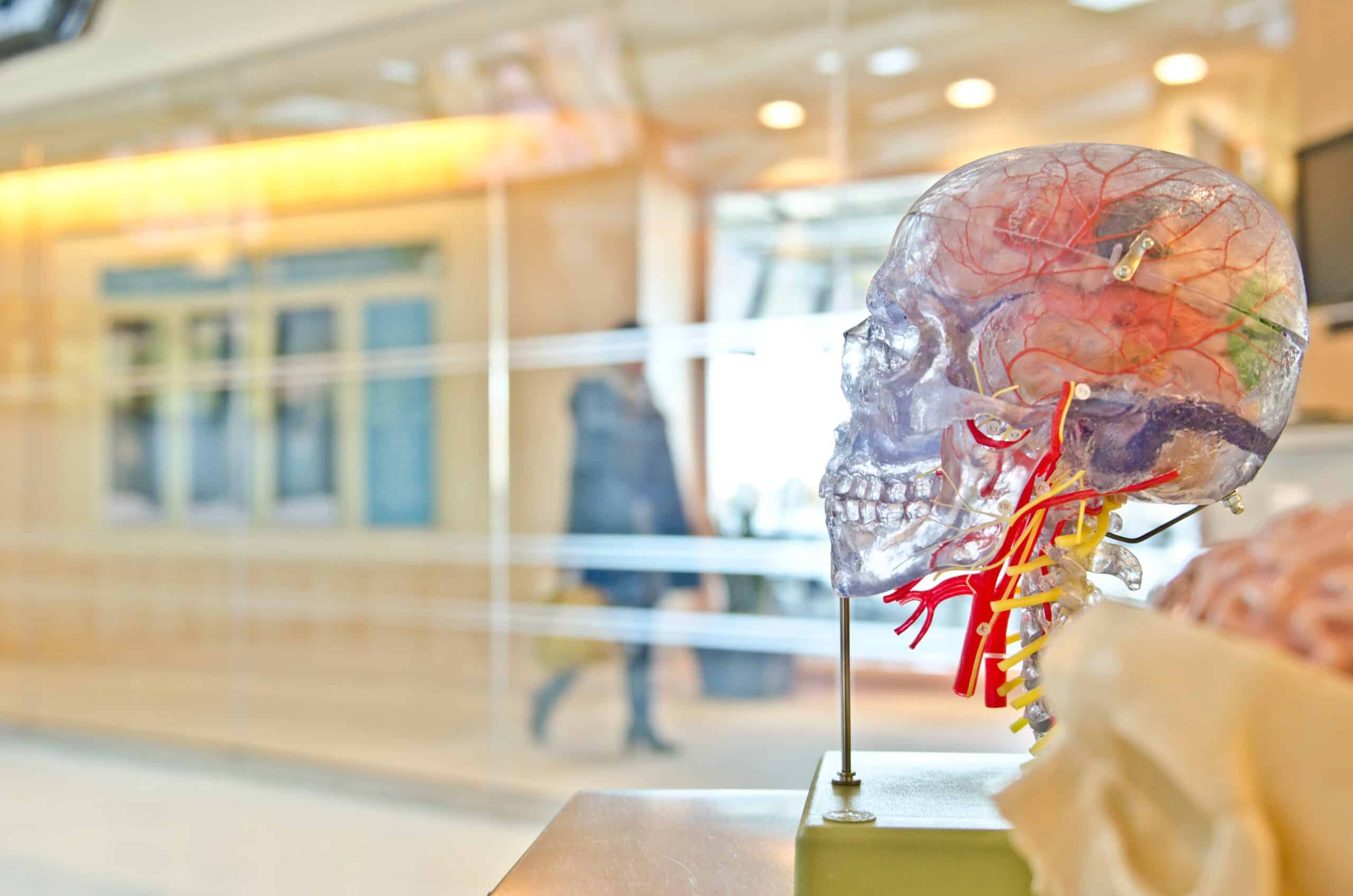 What is Functional Neurological Disorder