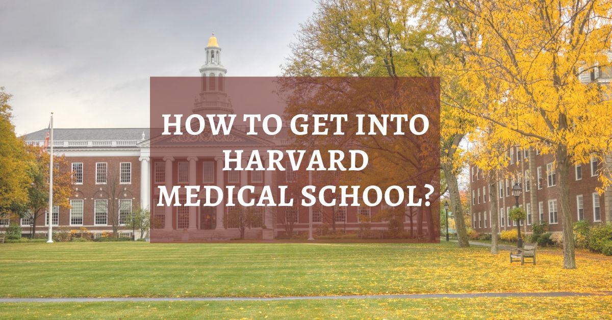 how-to-get-into-harvard-medical-school-requirements