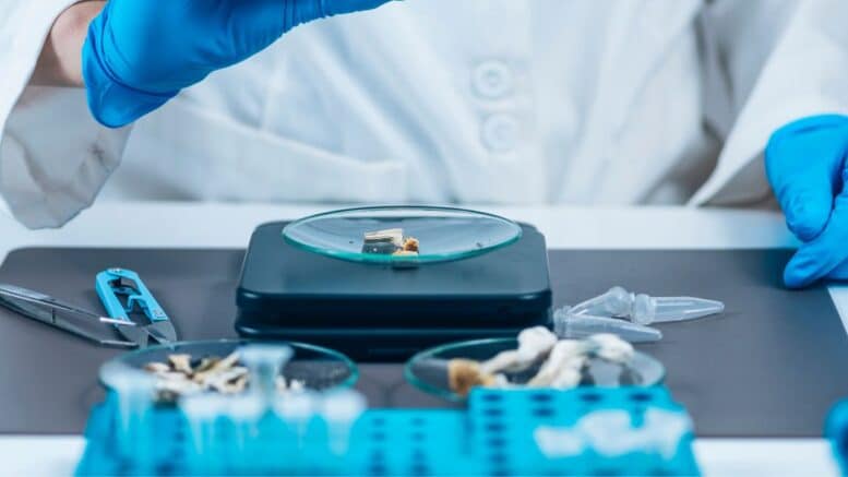 Microdosing Mushrooms Clinical Trials