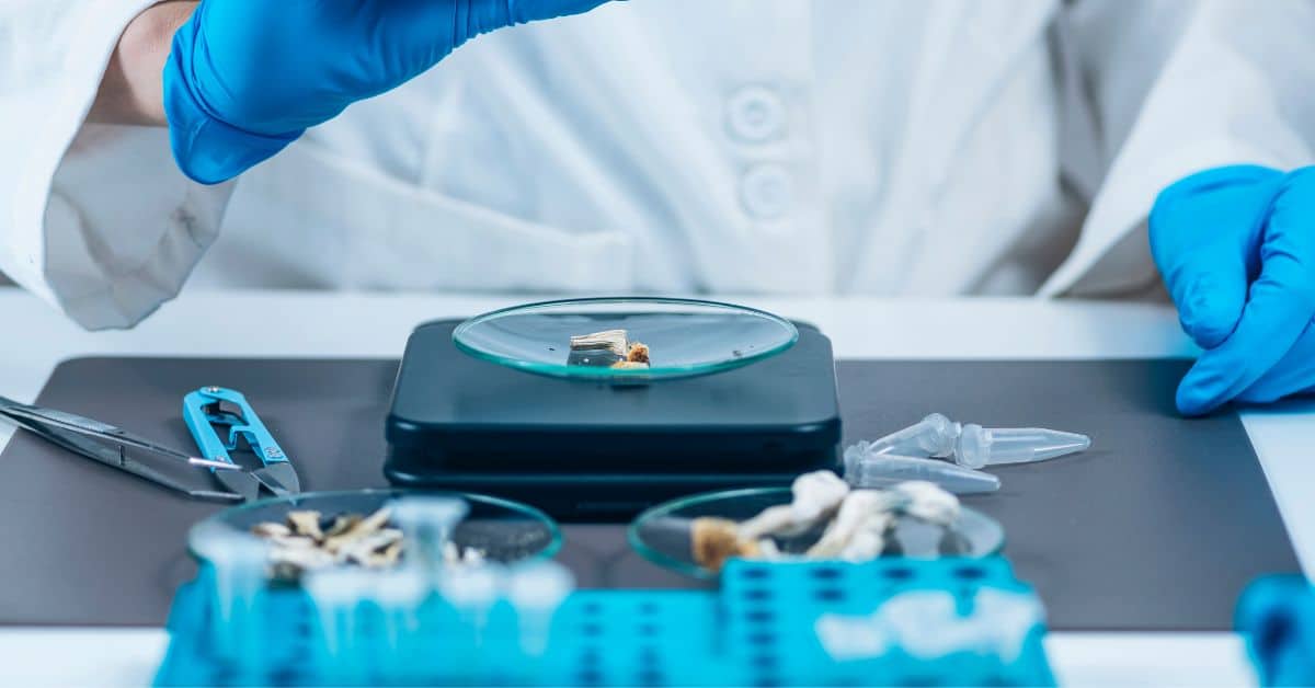 Microdosing Mushrooms Clinical Trials